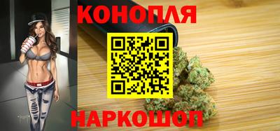 шишки Камышлов