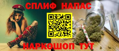шишки Камышлов