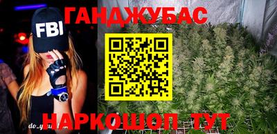 шишки Камышлов
