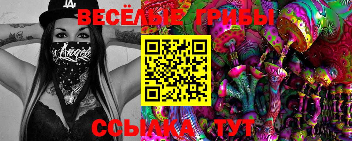 Псилоцибиновые грибы мицелий Чайковский