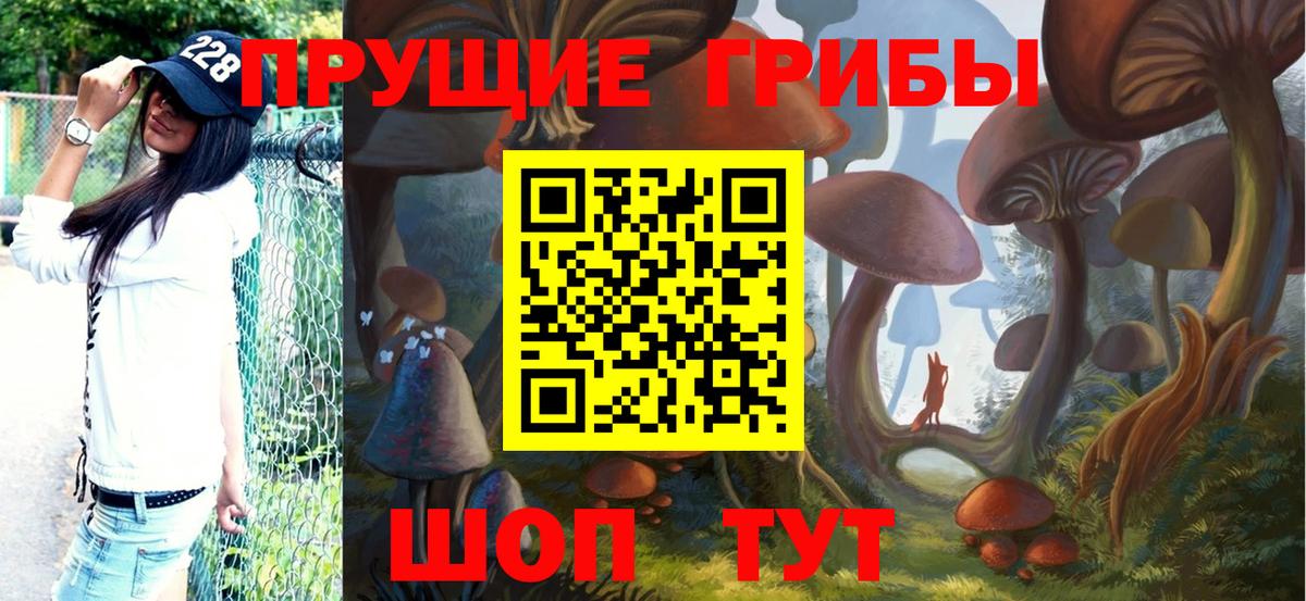 Чайковский  где продают наркотики  Вход с VPN  Галлюциногенные грибы мицелий 