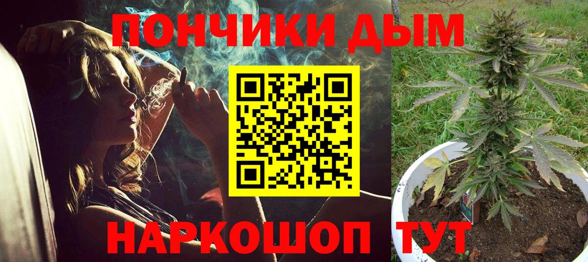 Бошки марихуана сатива Чайковский